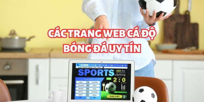 Đánh giá các trang web cá độ bóng đá tại Việt Nam